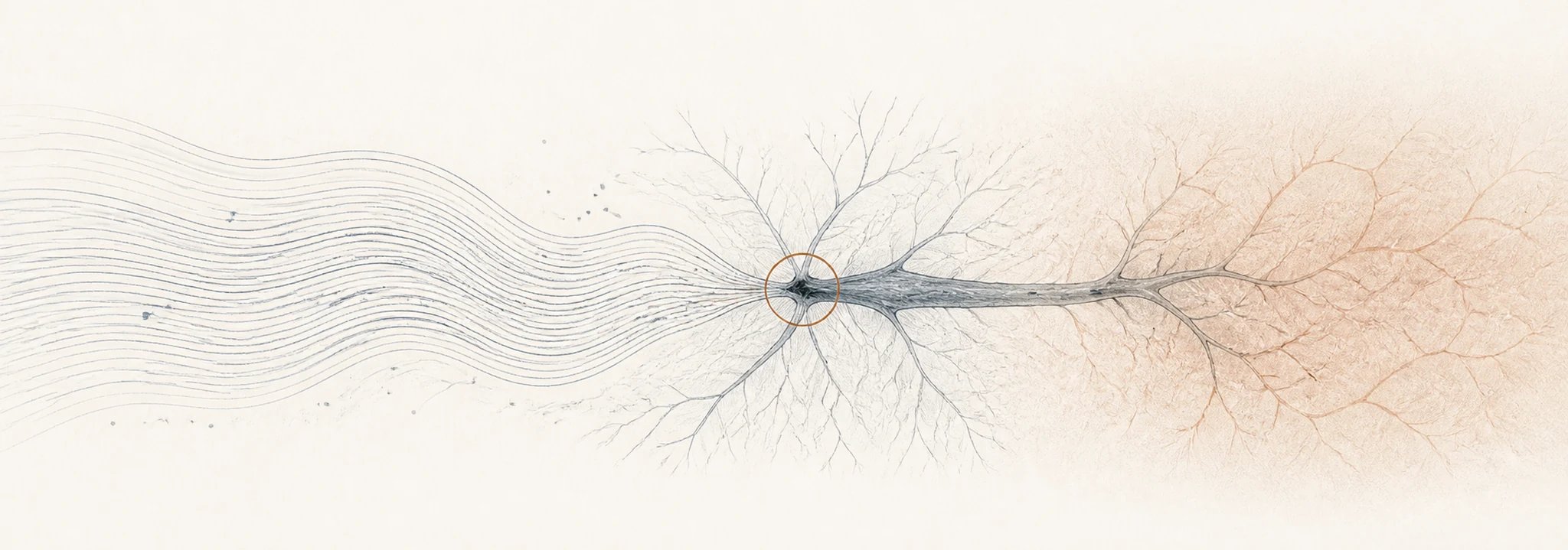 Conceptual illustration from healthy flow through local interruption to downstream tissue stress